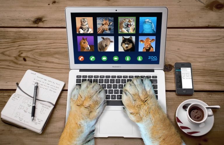 How to Effectively Market With Video on the Web